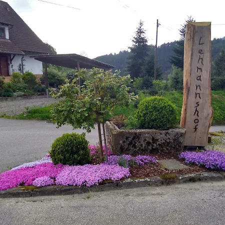 Lehmannshof Ferienwohnungen Zell am Harmersbach Exterior foto