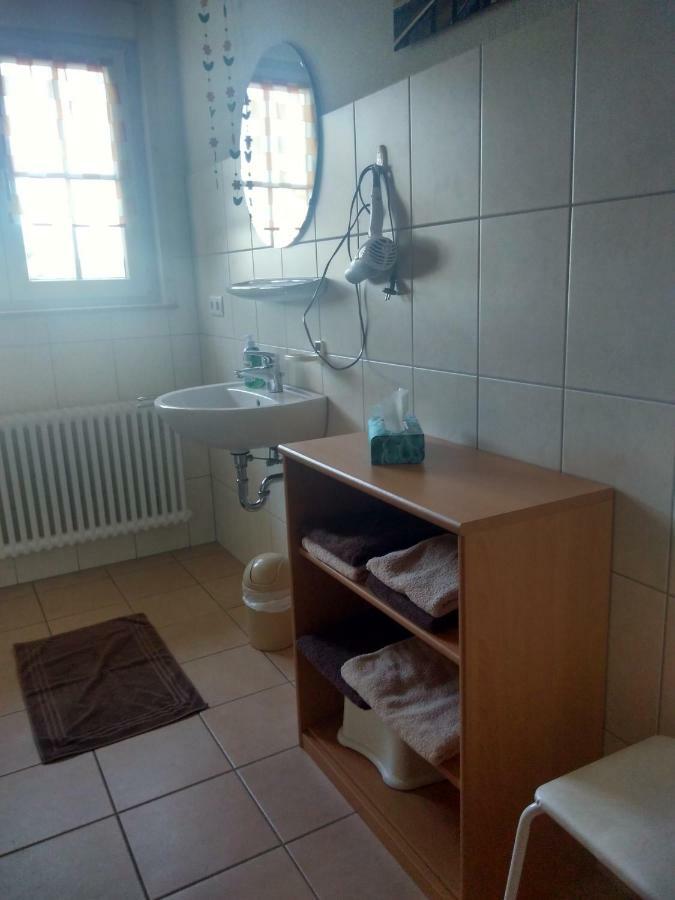 Lehmannshof Apartment Zell am Harmersbach